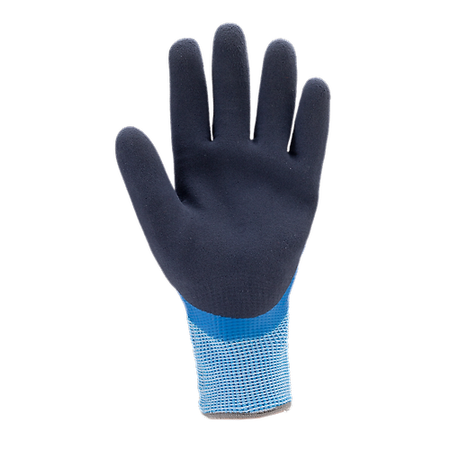 Taille 11 image