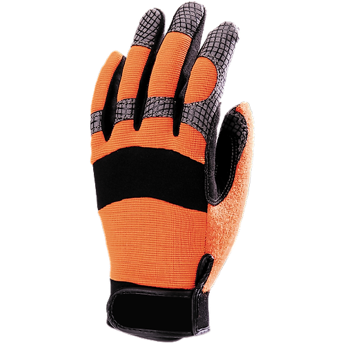 Taille 10 image