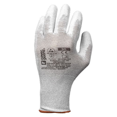 Taille 11 image