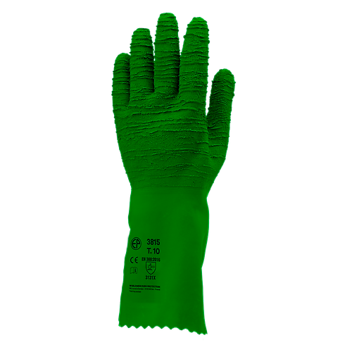 Taille 10 image