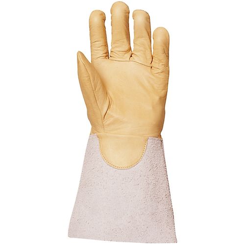 Taille 12 image