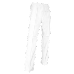 Pantalon de travail peintre PINCEAU - BLANC image