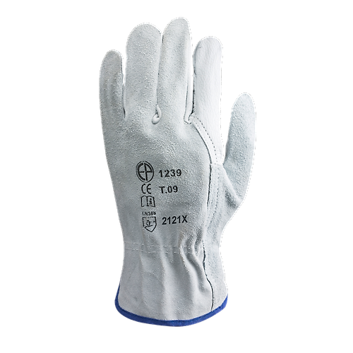 Taille 11 image