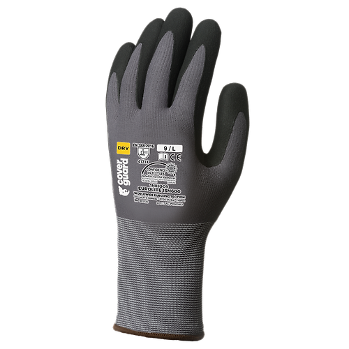 Taille 11 image