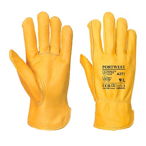 XL - Taille 10 image