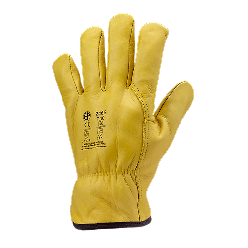 Taille 10 image