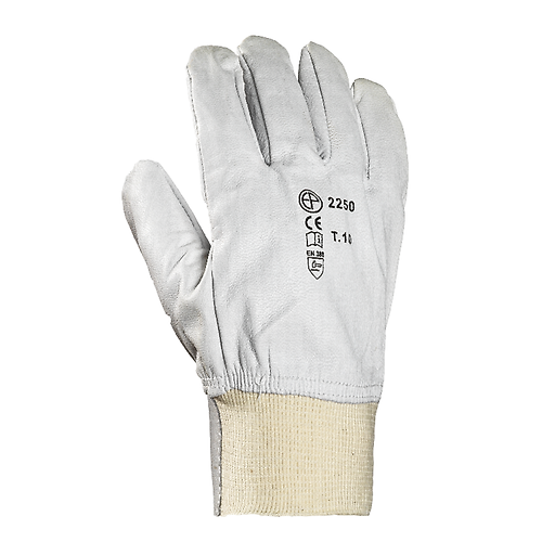 Taille 11 image