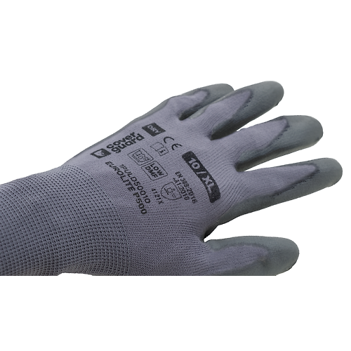 Taille 12 image