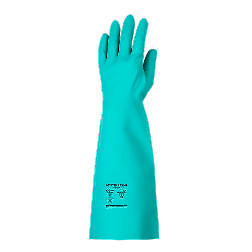 Taille 11 image