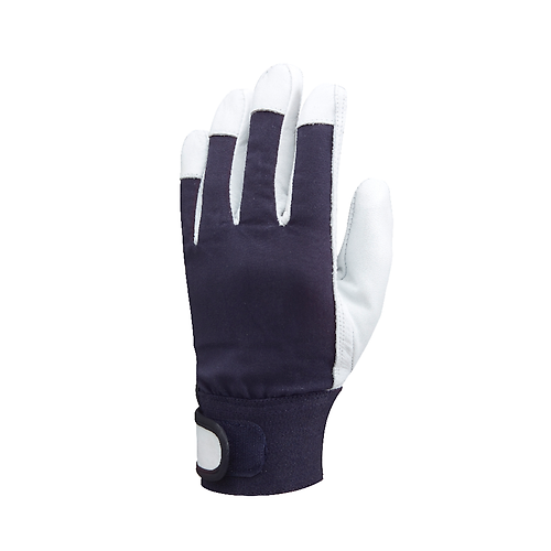 Taille 10 image