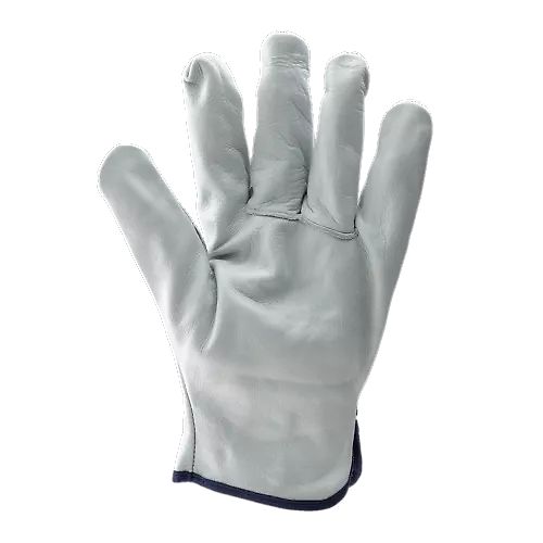 Taille 10 image