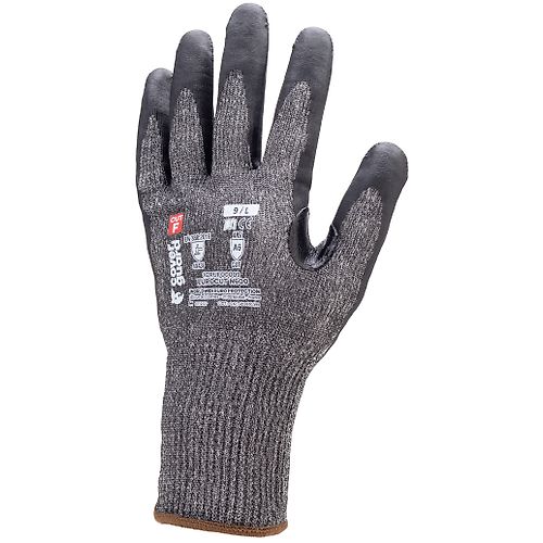 Taille 12 image