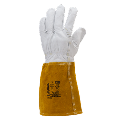 Taille 11 image