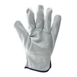 Lot de 10 paires de gants Manutention EUROSTRONG 2240 - Gant de maîtrise en cuir tout fleur de buffle - Pouce palmé image