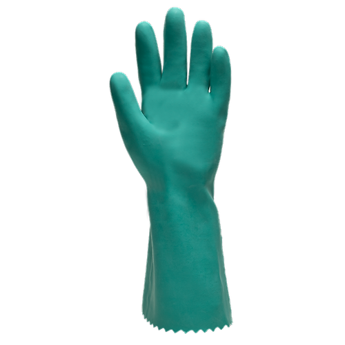 Taille 11 image