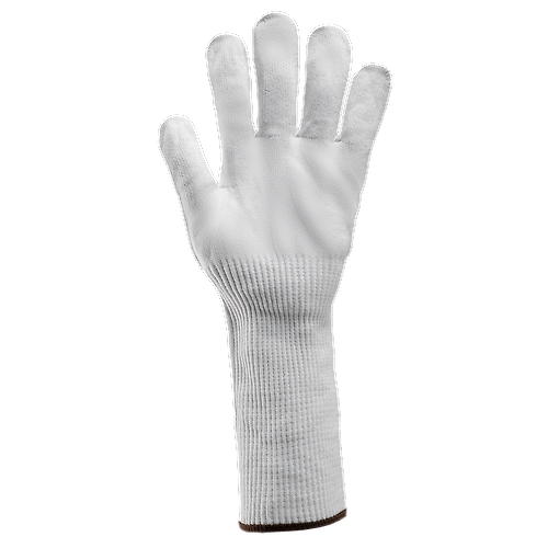 Taille 11 image