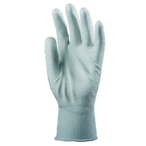 Taille 10 image