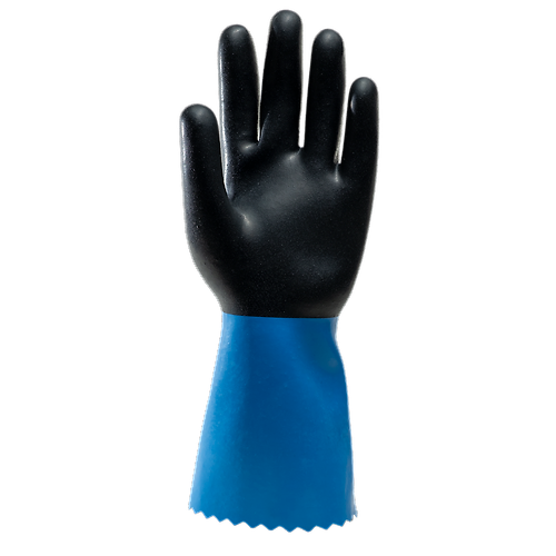 Taille 11 image