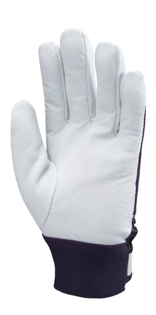 Lot de 10 paires de gants à manchette élastique bleue avec fermeture scratch EUROSTRONG 860 image