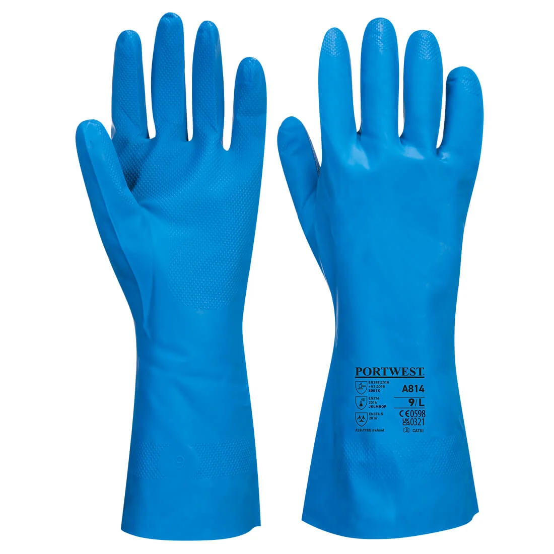 Gants Nitrile Contact Alimentaire Bleu image