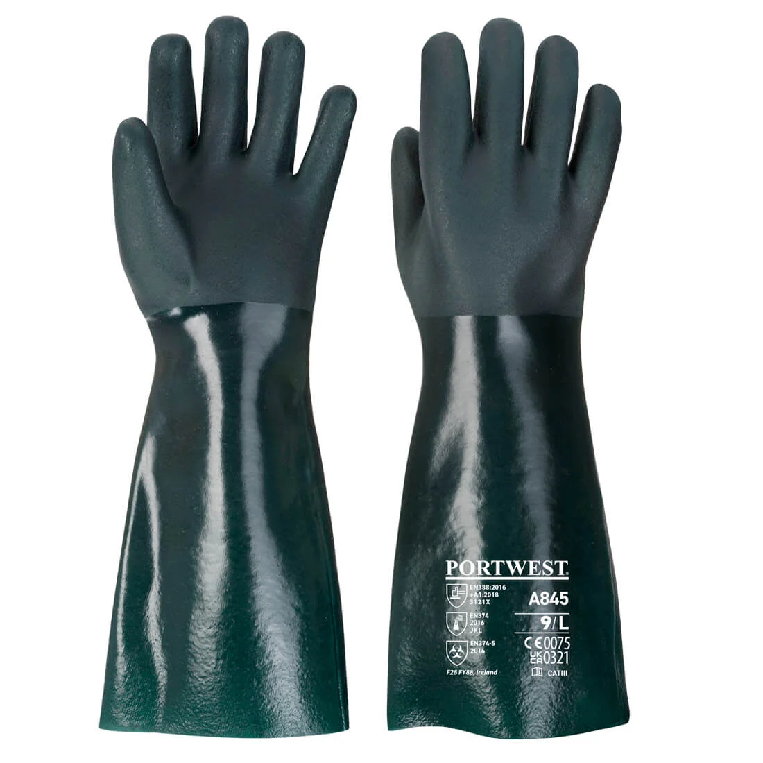 XL - Taille 10 image