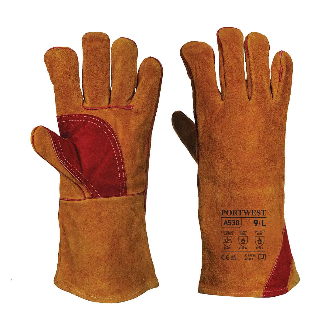 XL - Taille 10 image